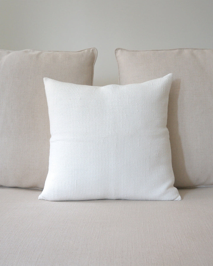 Solid Cotton Euro Pillow in Ivory