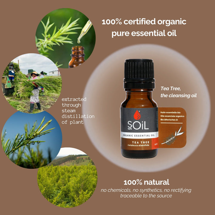 Organic Tea Tree Essential Oil (Melaleuca Alternifolia) 10ml