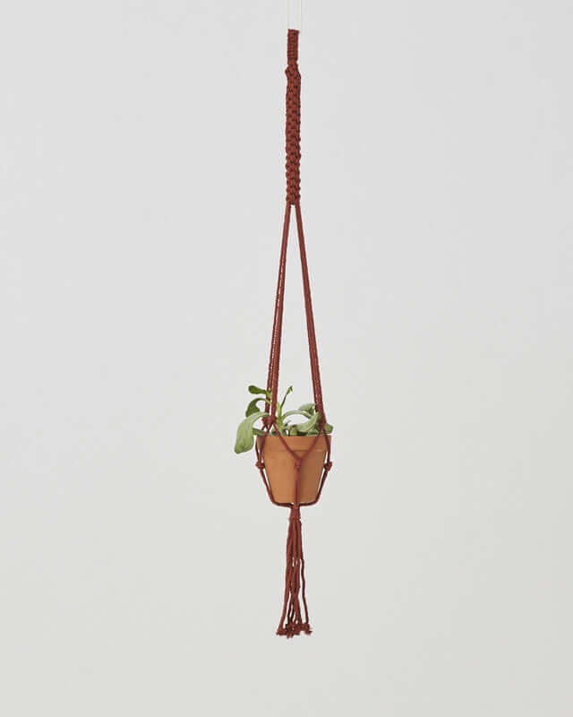 Bluefields Macrame Plant Holder | Tile Red