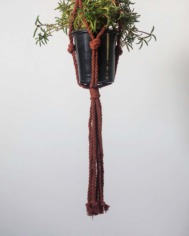 Bluefields Macrame Plant Holder | Tile Red