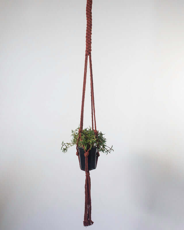 Bluefields Macrame Plant Holder | Tile Red