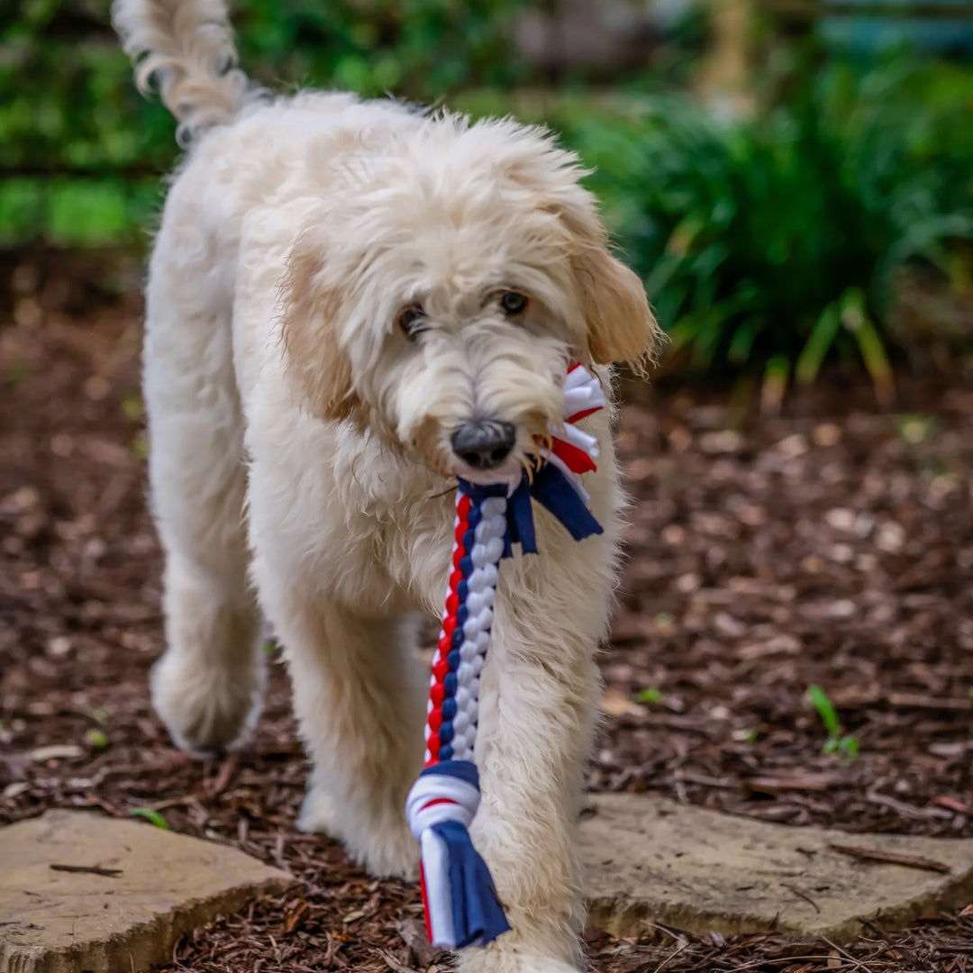 Tee-Bone Dog Toy