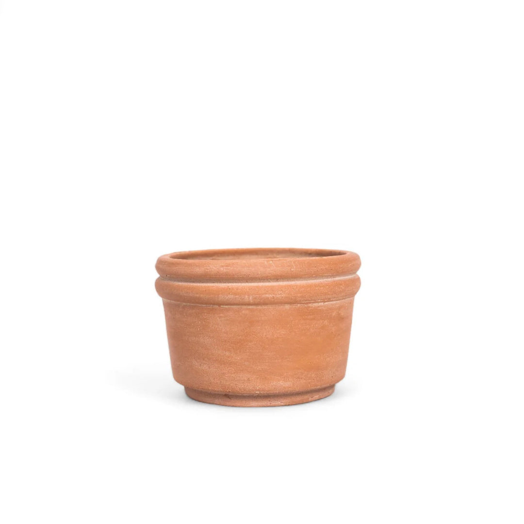 Felipe Medium Terracotta Planter