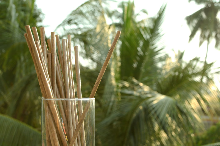 Leafy Straw - Coconut Palm Leaf Drinking Straws (50 Count)