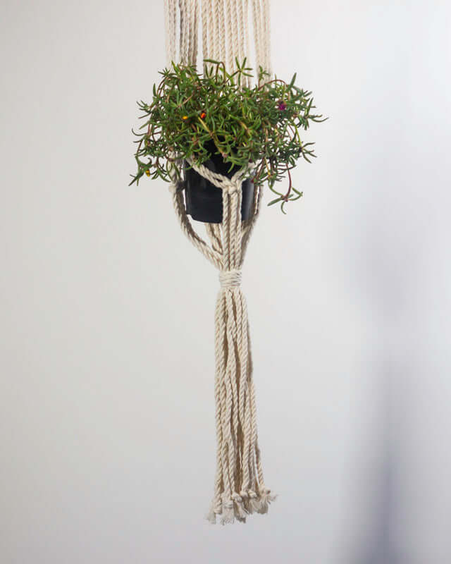 Mombacho Macrame Plant Holder | Natural White