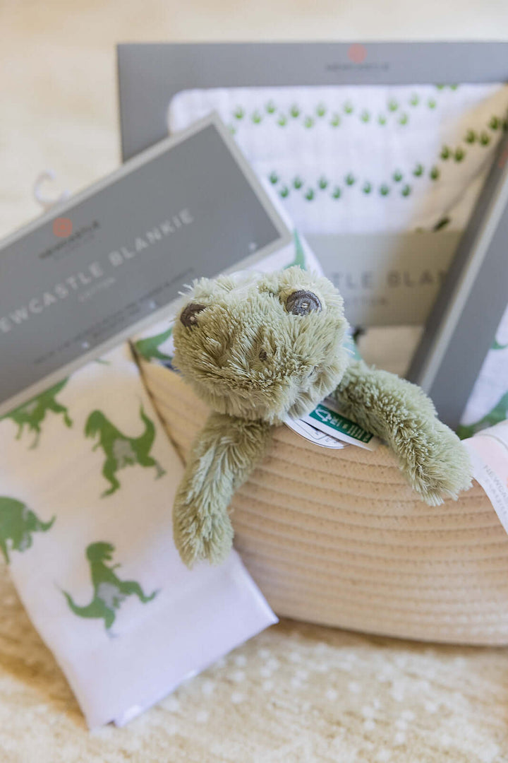 Welcome Baby Boy - Dinosaur Gift Basket