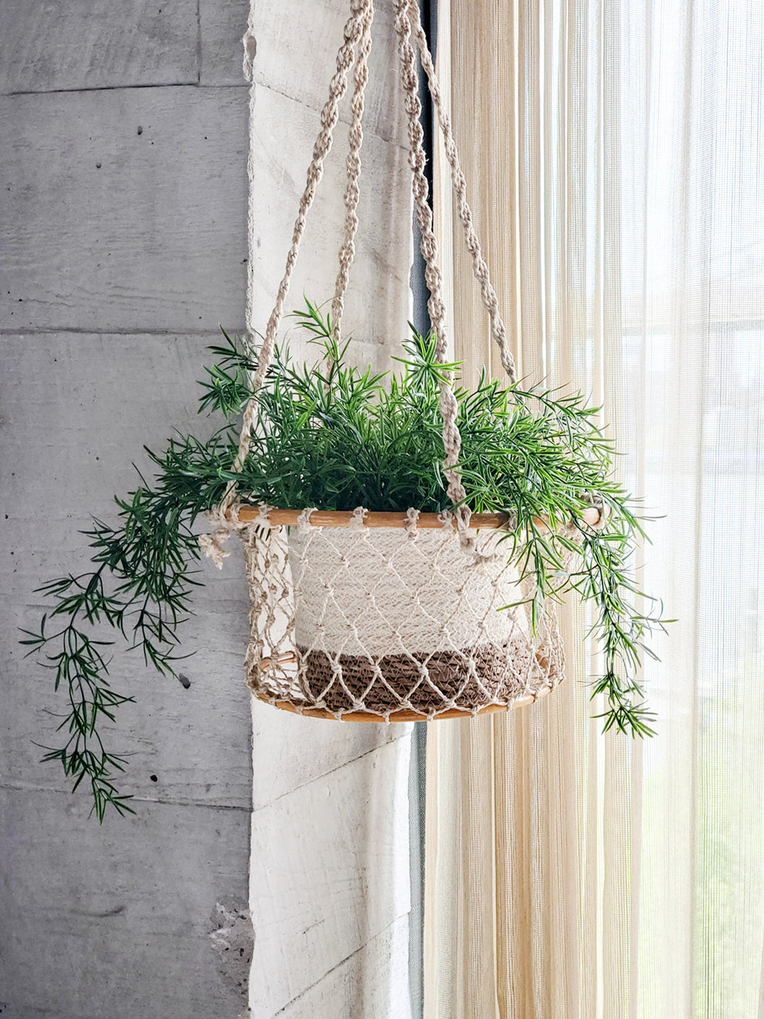 Jhuri Single Hanging Basket by KORISSA