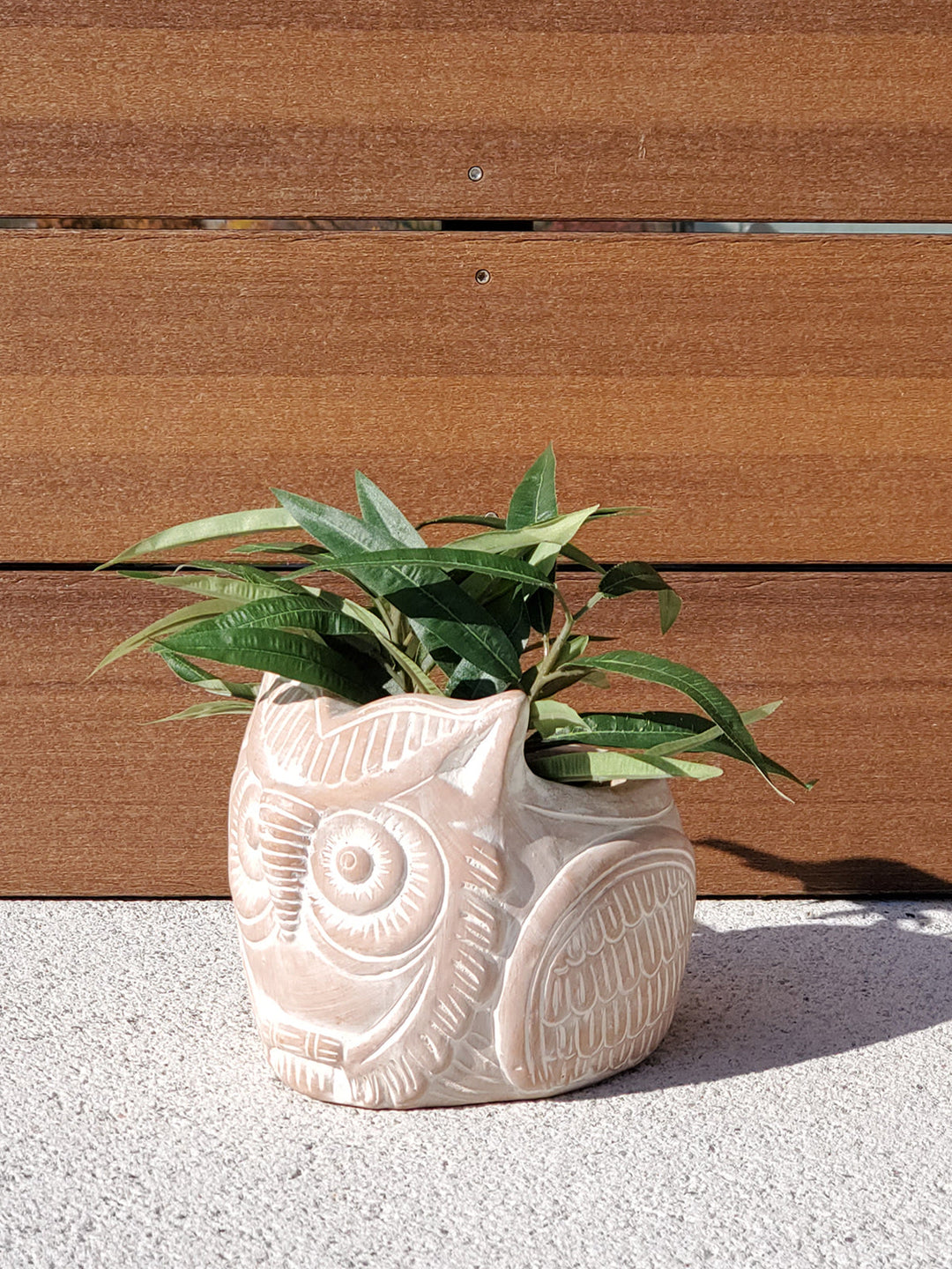 Terracotta Pot - Horned Owl by KORISSA