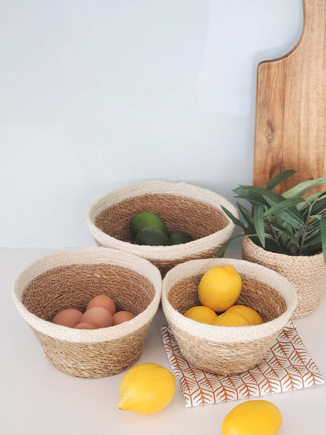 Savar Plant Bowl (Set of 3)