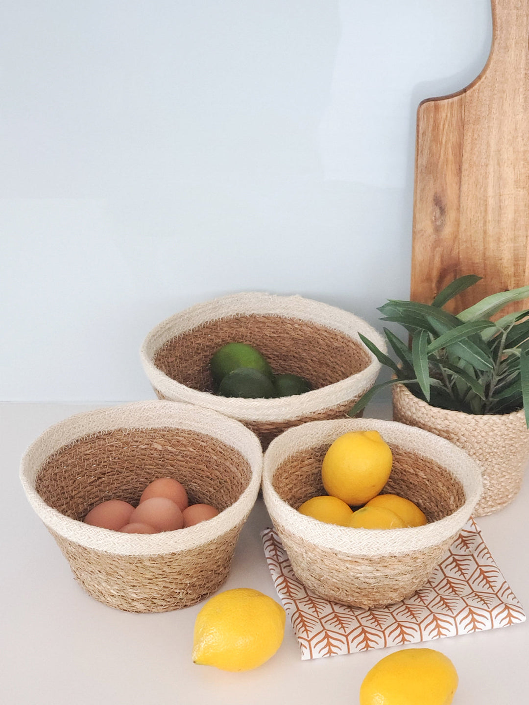 Savar Plant Bowl (Set of 3) by KORISSA