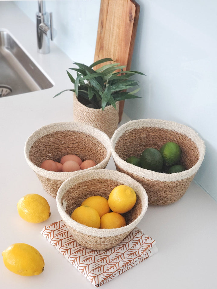 Savar Plant Bowl (Set of 3) by KORISSA