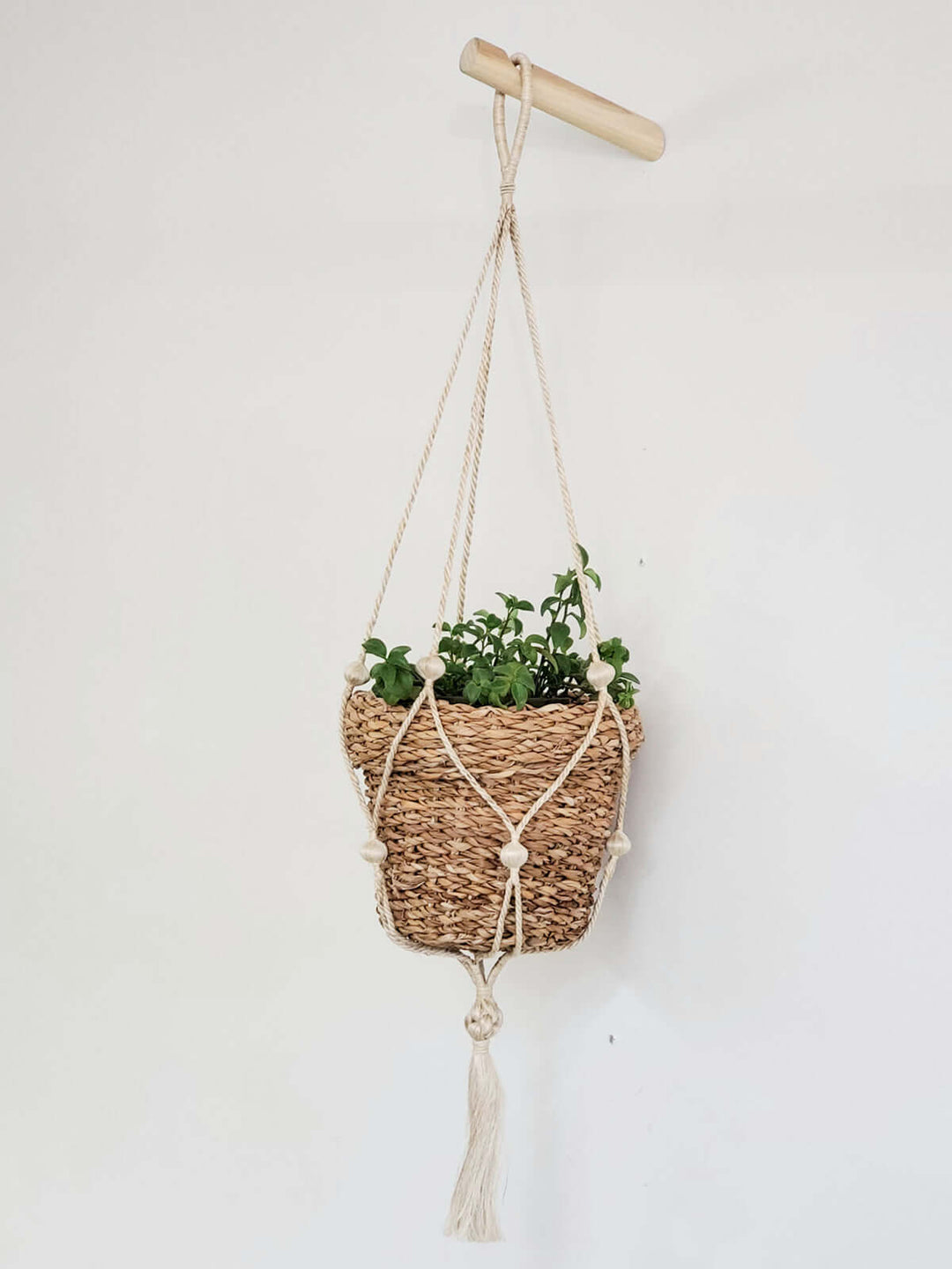 Savar Nesting Plant Basket