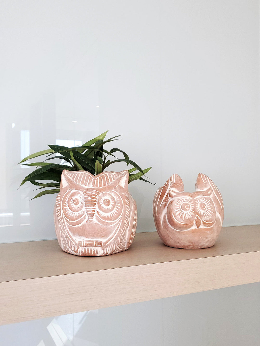 Terracotta Pot - Horned Owl by KORISSA