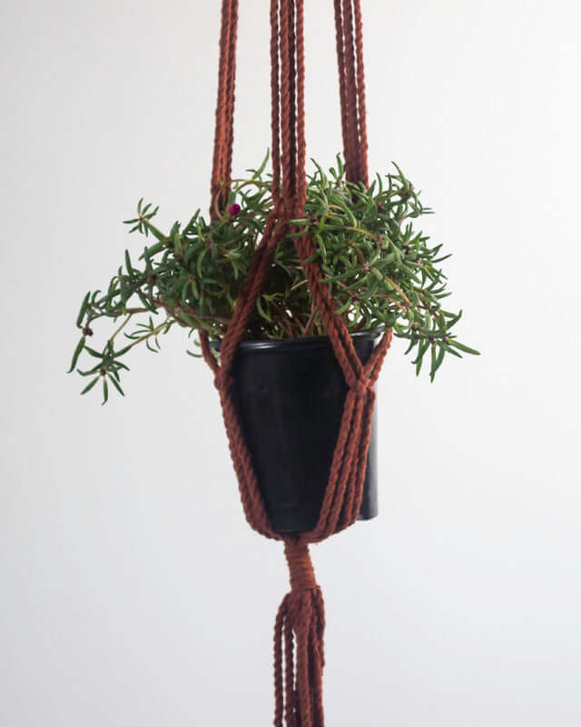 Santana Macrame Plant Holder | Tile Red