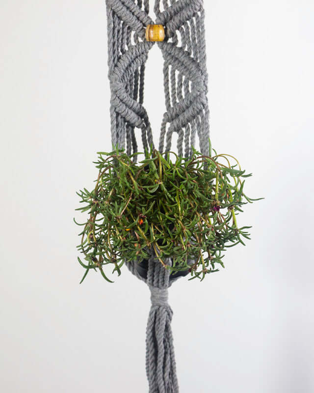 Somoto Macrame Plant Holder | Gray