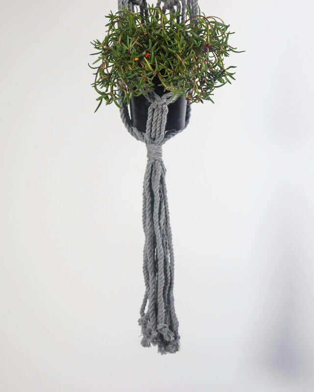 Somoto Macrame Plant Holder | Gray