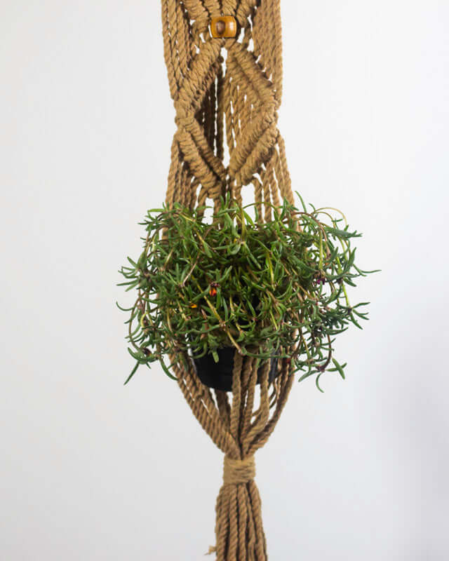 Somoto Macrame Plant Holder | Khaki