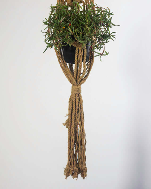 Somoto Macrame Plant Holder | Khaki