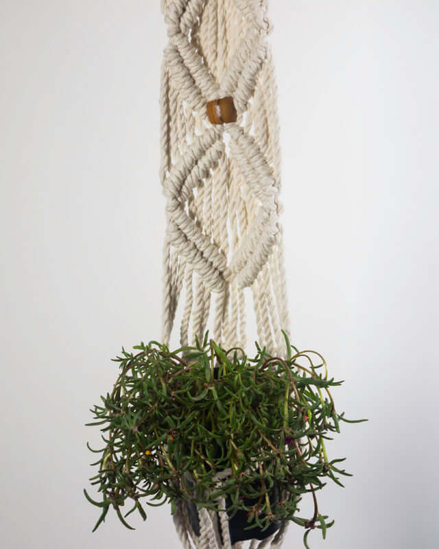 Somoto Macrame Plant Holder | Natural White