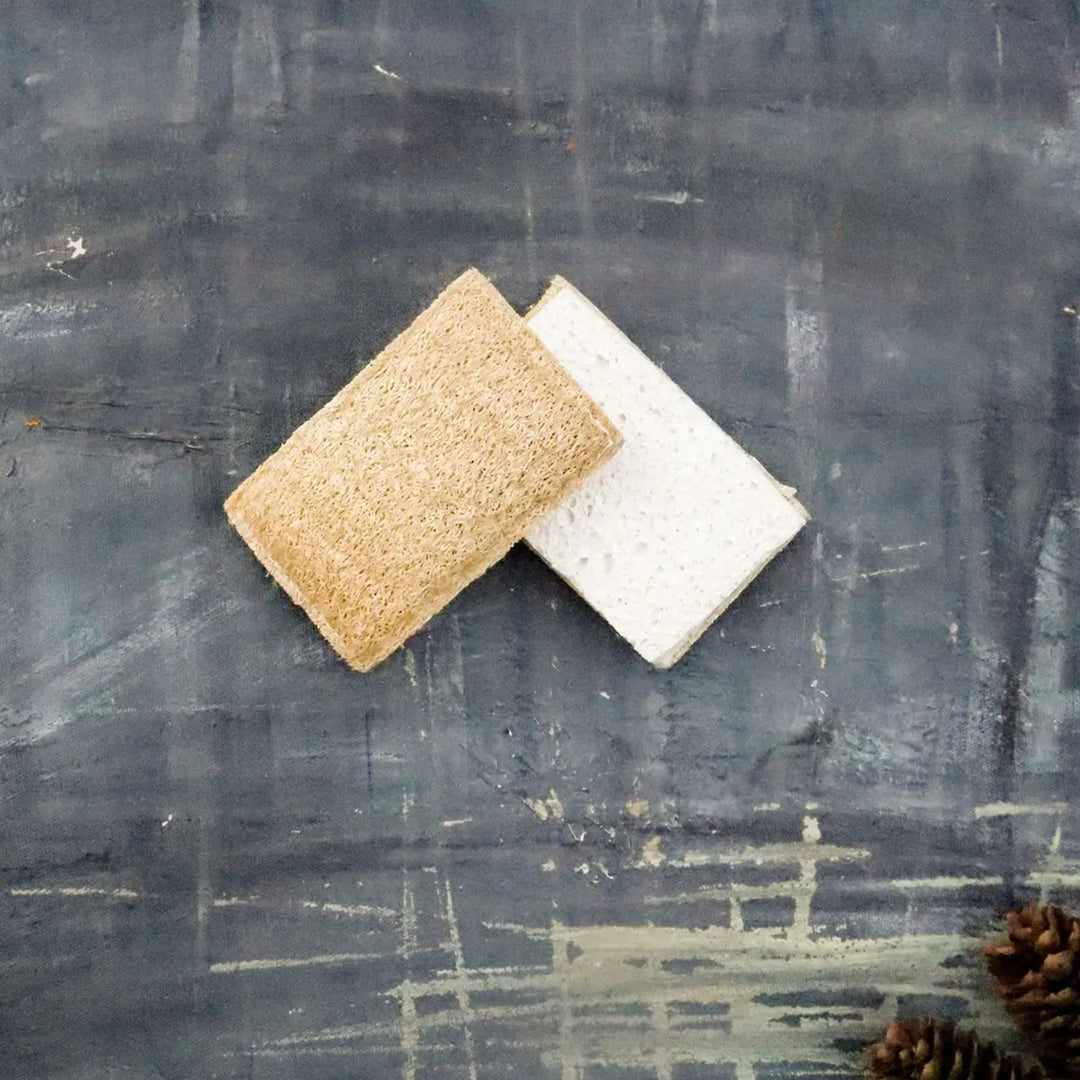 Eco Sponge - 2 pack