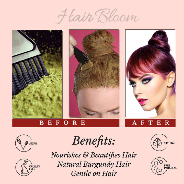 Hair Bloom Natural Burgundy Hair Color- Herbal Henna Burgundy Hair Color Powder- 12 individual sachets (10 gm each)- Reusable Brush & Tray Included