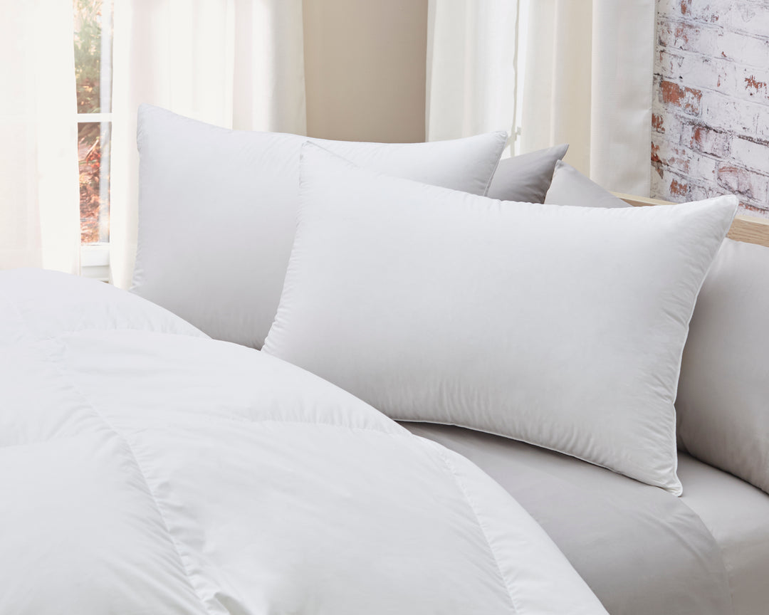 Premium Batiste White Goose Down Pillow