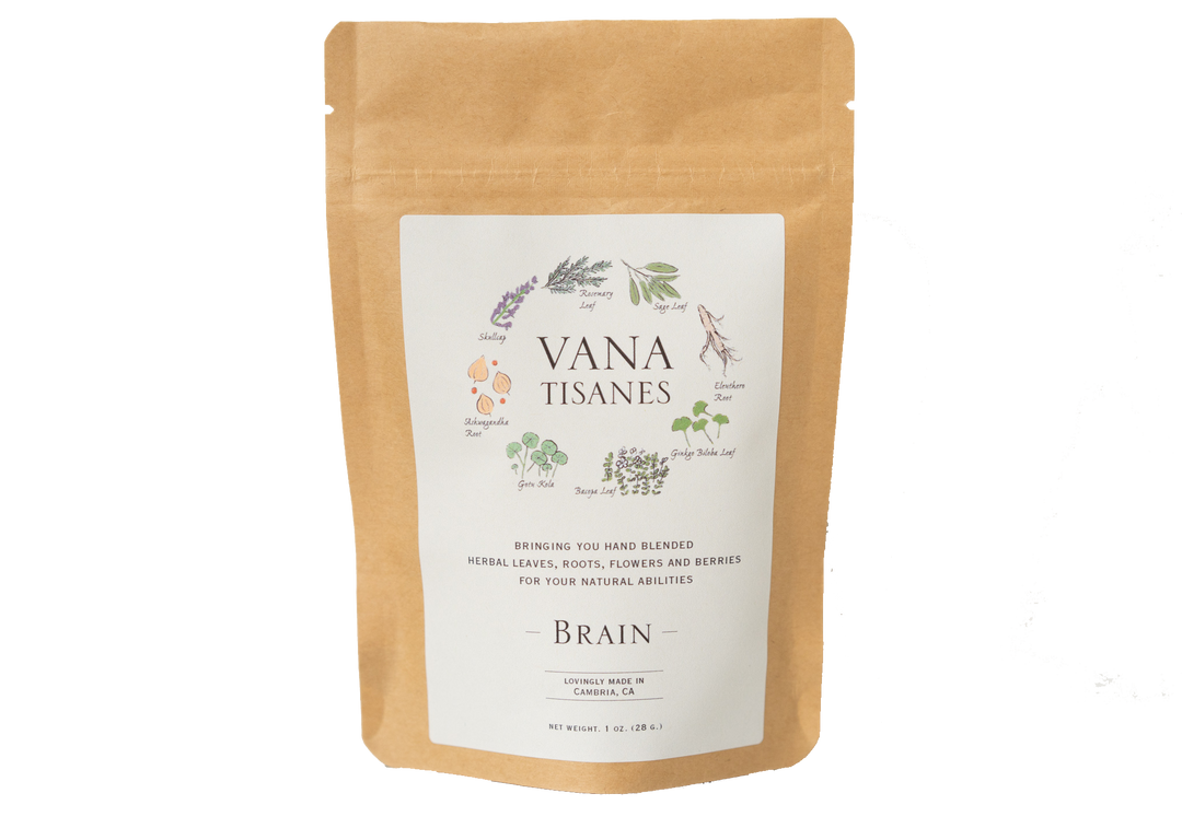 Brain