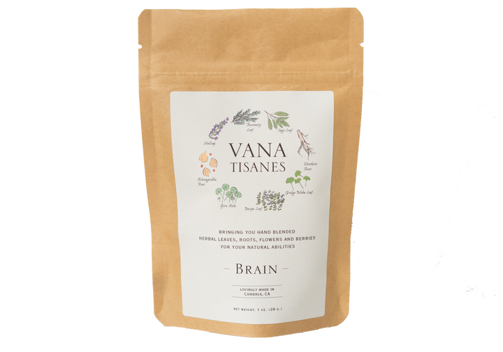 Brain